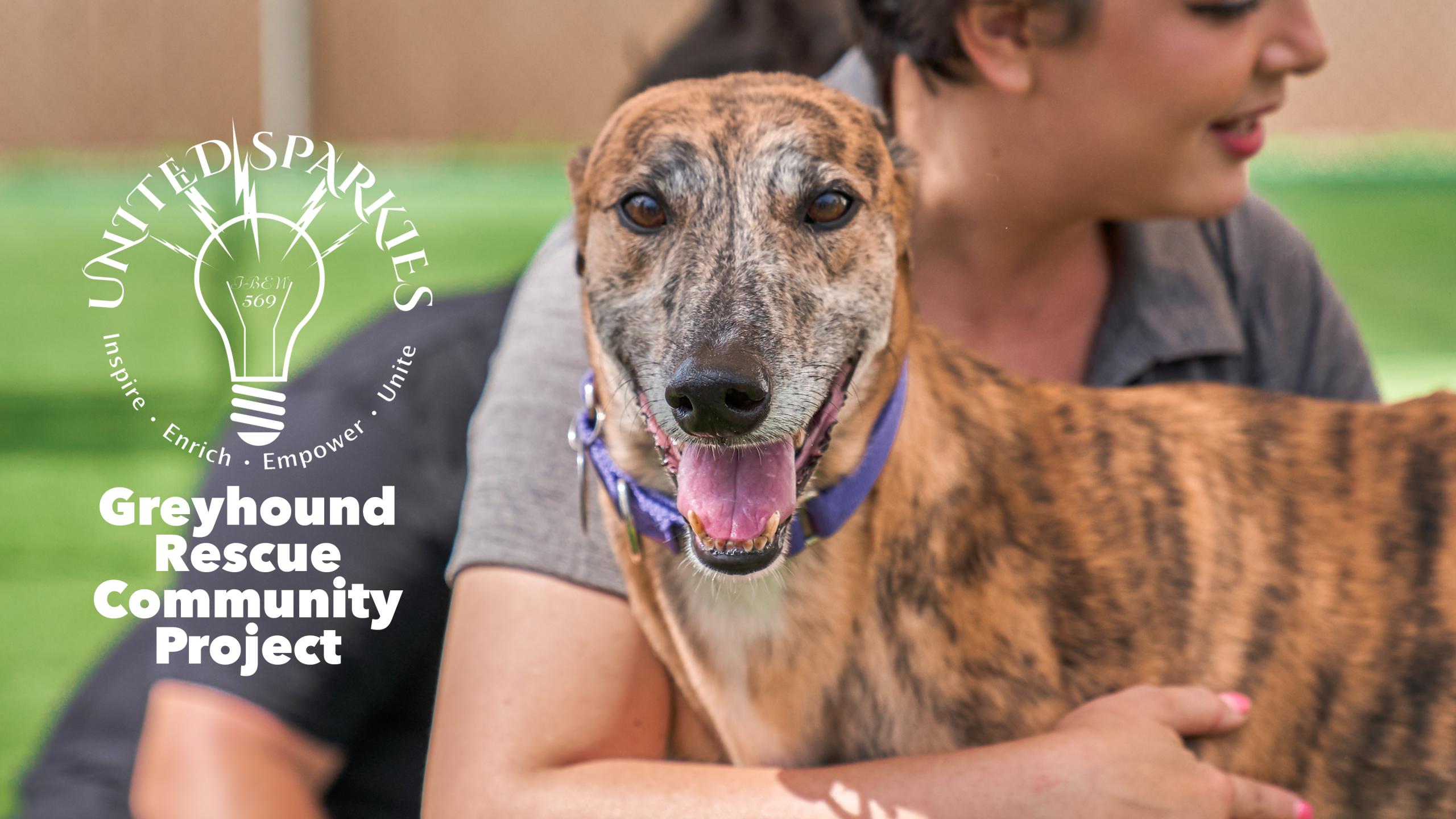 United Sparkies Greyhound Rescue Project